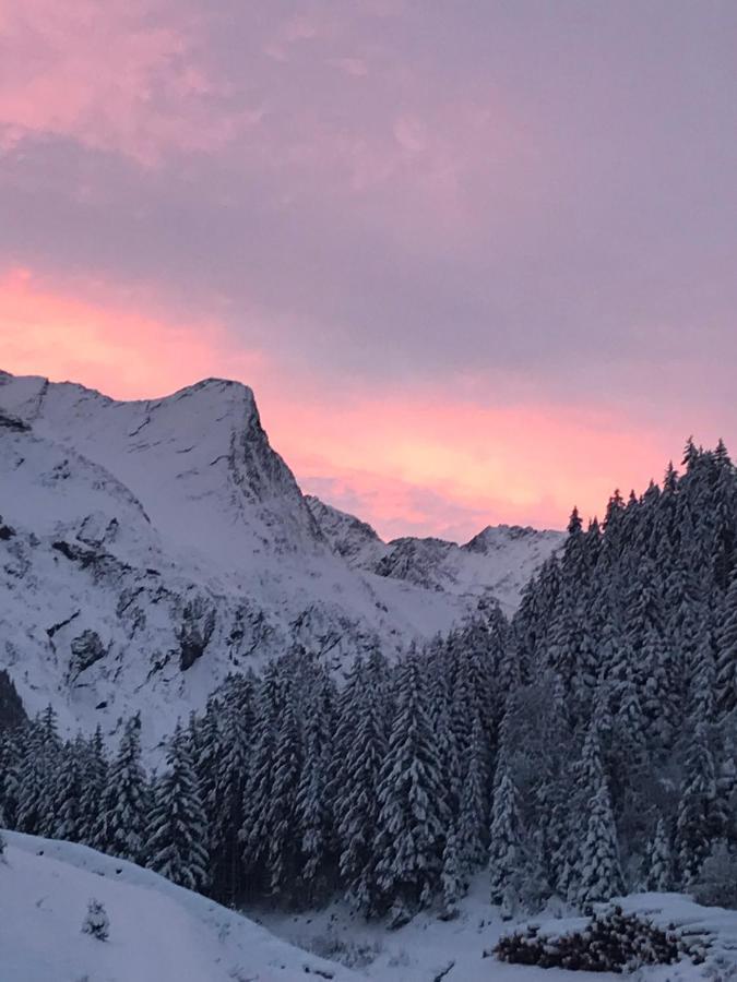 Apartment Haus Am Steinbockzentrum Sankt Leonhard im Pitztal