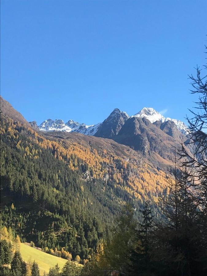 Haus Am Steinbockzentrum Sankt Leonhard im Pitztal